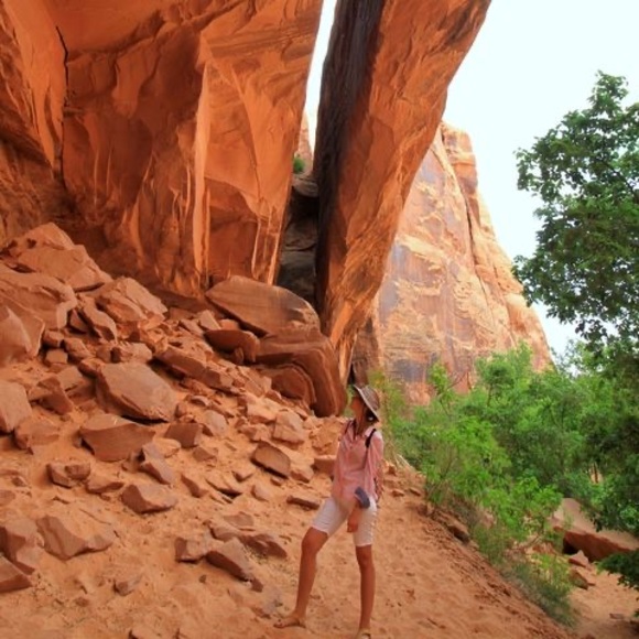 Meet your Posher, Indre - Picture 1 of 1